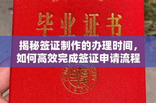 玛沁揭秘签证制作的办理时间，如何高效完成签证申请流程